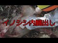 続・新米猟師と内臓出し
