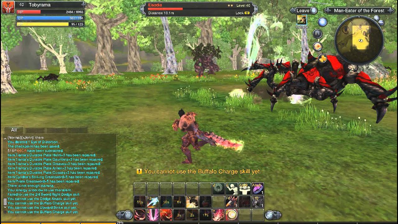 Raiderz zerk