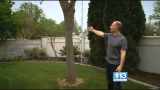 Call Kurtis: Blurring Your House On Google Street View