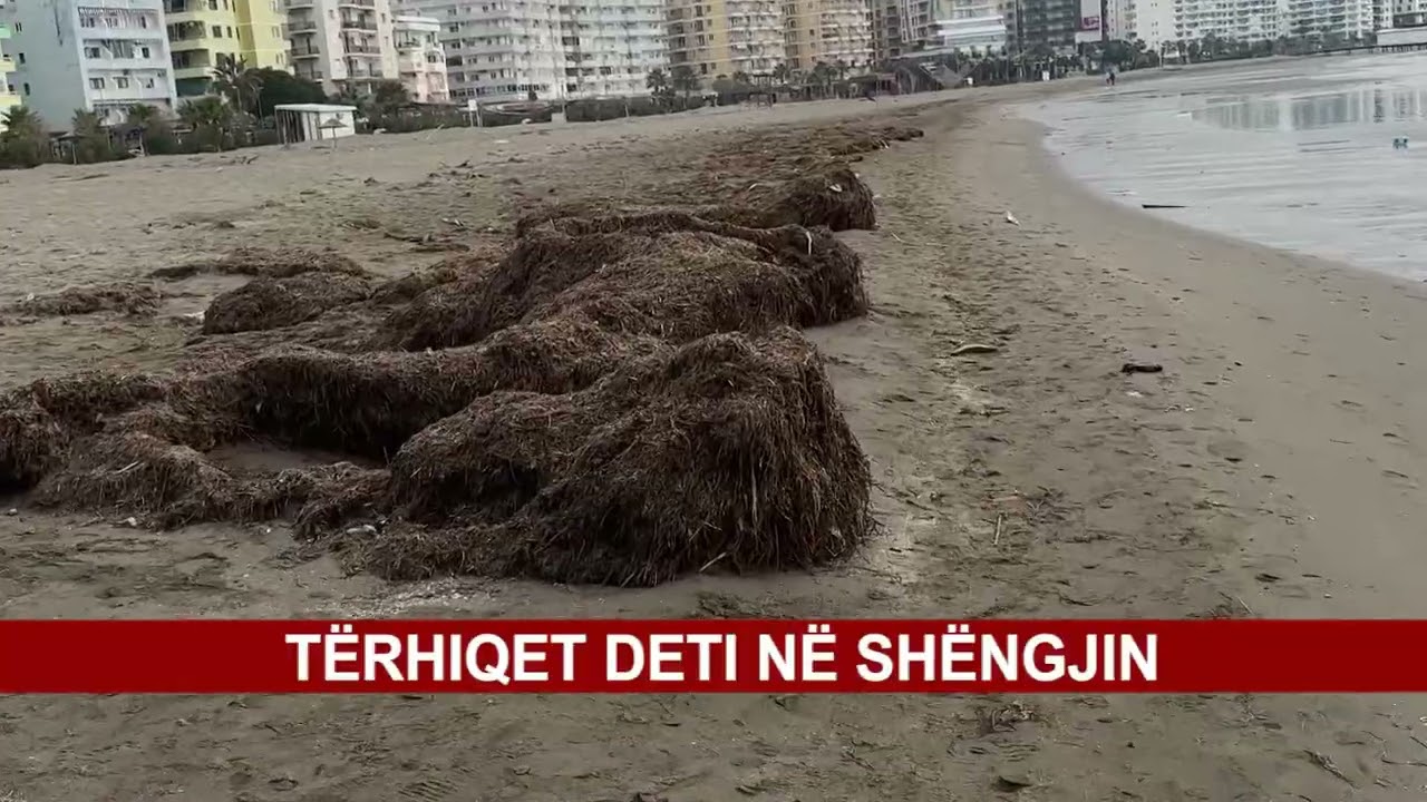 TËRHIQET DETI NË SHËNGJIN