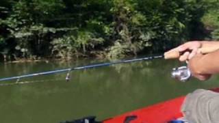 Casting, fishing Black bass