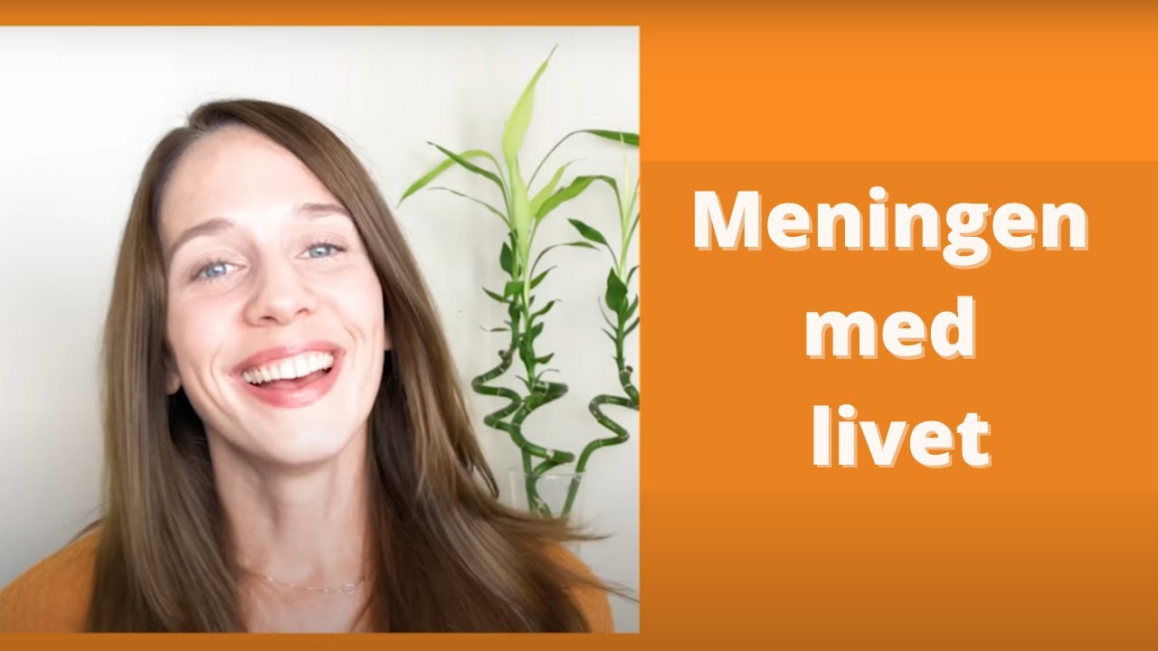 Meningen med livet | Hur vi kan få ett verkligt meningsfullt liv