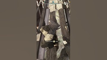 Essential Lifesaving Skills for Stalkers #Stalker2 #HeartofChornobyl