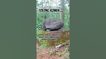 Thumbnail of BATU DORPHAL BANGSA LEMURIA DITASIKMALAYA...