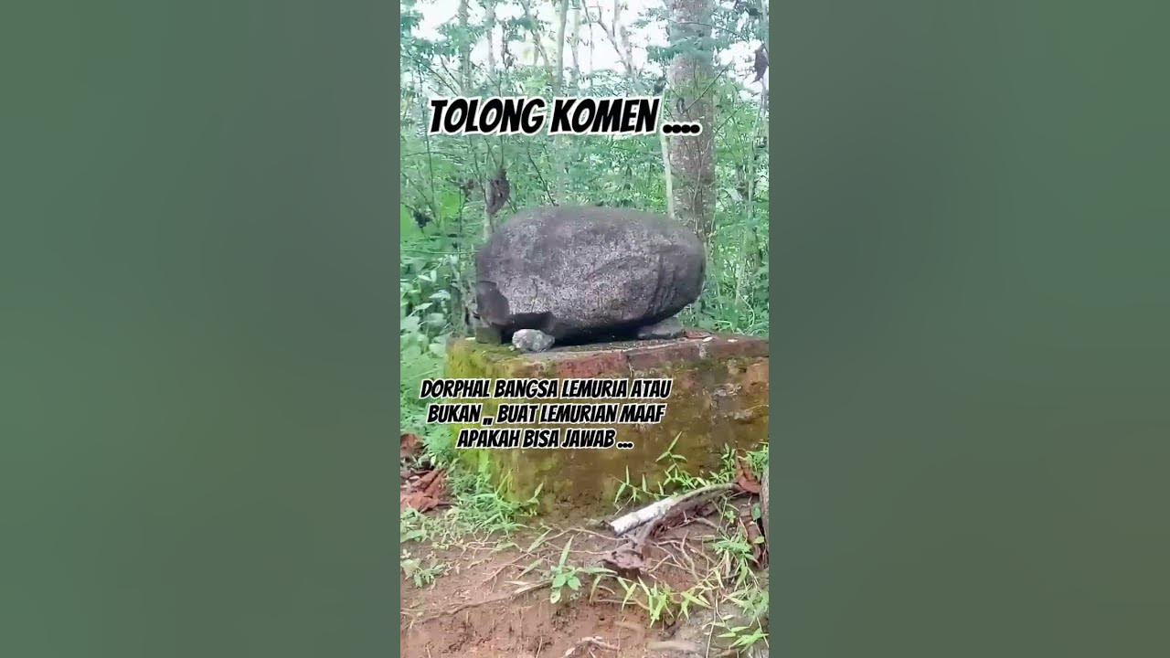 BATU DORPHAL BANGSA LEMURIA DITASIKMALAYA...