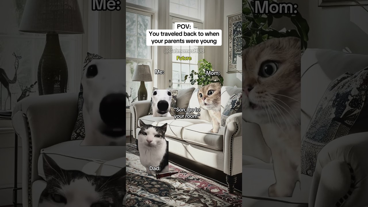 CAT MEMES 🐱You traveled back to when your parents were young 