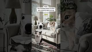 Cat Memes You Traveled Back To When Your Parents Were Young