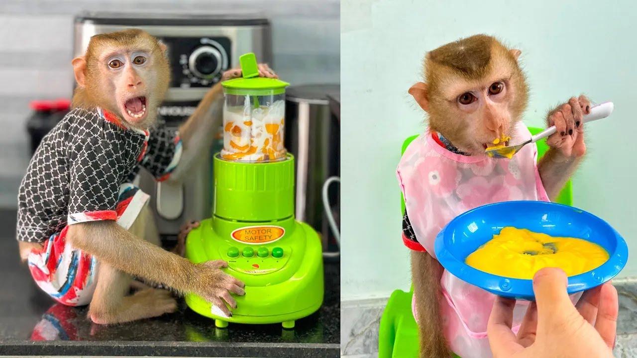 Monkey Kaka and dad make delicious fruit yogurt