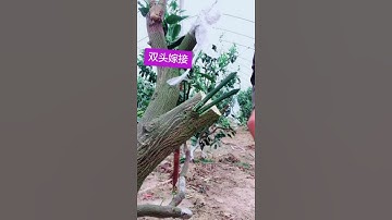 # Cảm ơn bạn chính thức # công nghệ nâng cấp # hướng dẫn nâng cấp