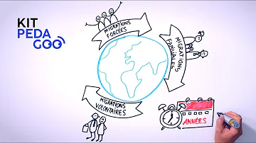 Quels sont les différents types de migrations ?