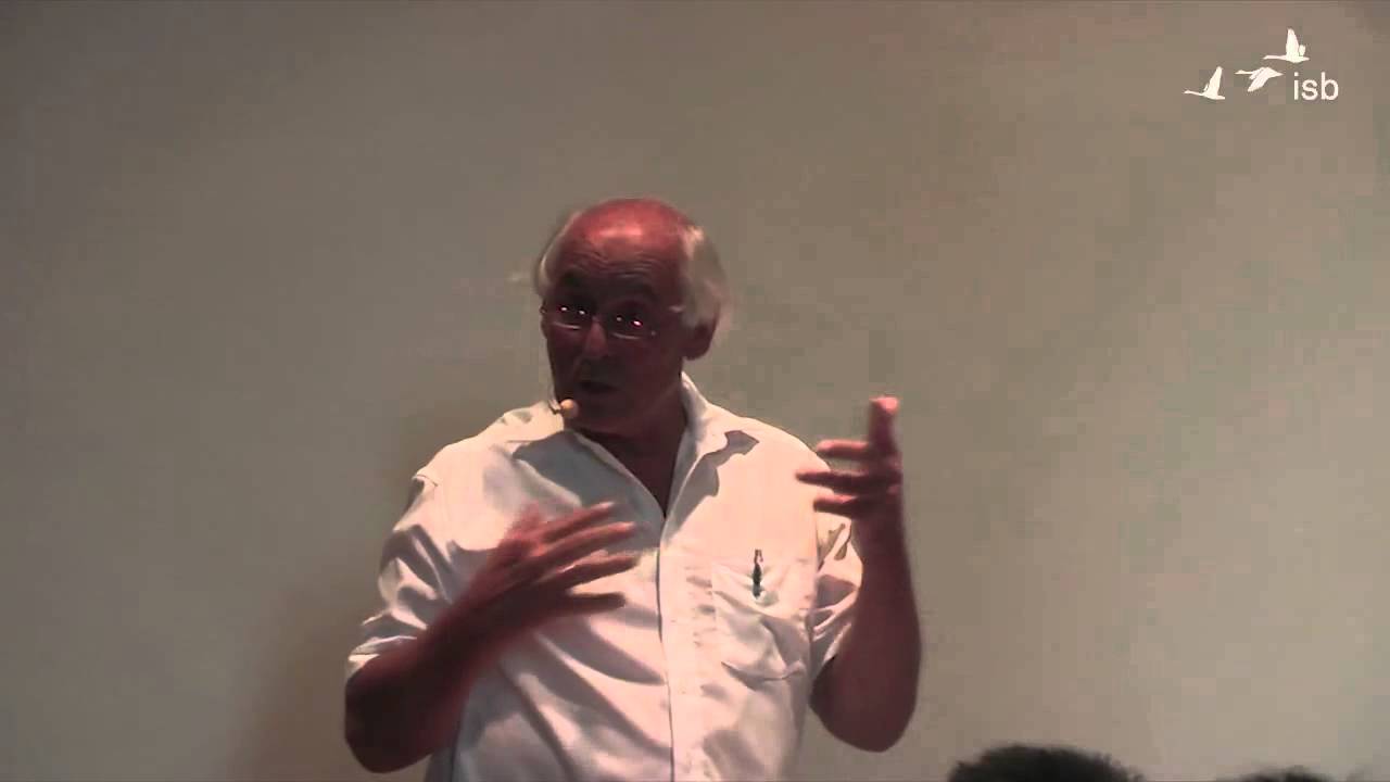 C.G. Jung und der systemische Ansatz; B. Schmid; 2013;  Ringvorlesung Uni Heidelberg 2013