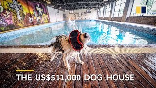 Man builds US$500,000 mansion for his dog