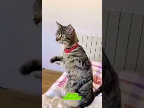 ผลสลากกินแบ่งรัฐบาล วันที่ 1 พย. 2567