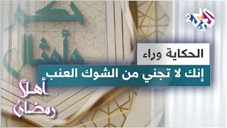 الحكاية وراء مثل إنك لا تجني من الشوك العنب | حكم وأمثال