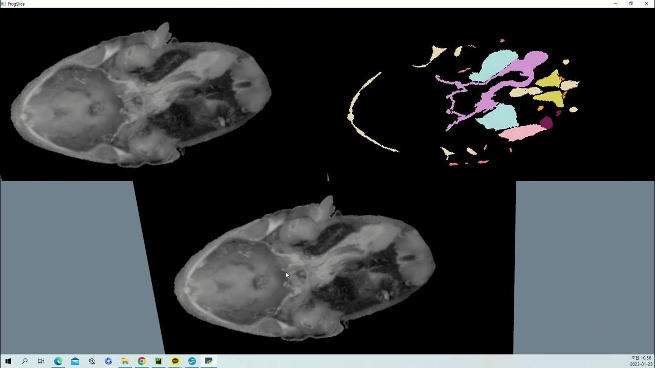 VTK Python Example - FrogSlice - YouTube