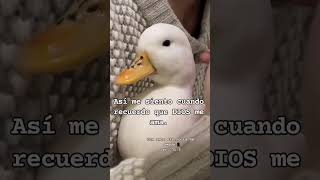 Dios es Amor 1 Juan 4:8 Dios es Amor 1 Juan 4:8