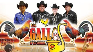 Los Gallos De La Sierra Las Mejor Exitos ~ Corridos y Rancheras Mix