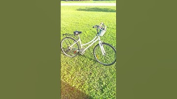 The Little Free Library Trip #books #shorts #youtubeshorts