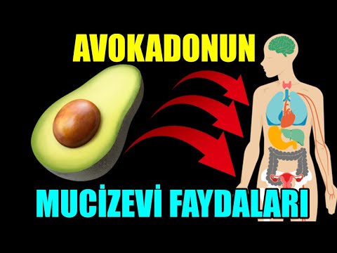 Video: Avokadonun Sağlığa Faydaları