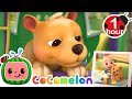 This is the Way (Doggy Care)   MORE CoComelon Nursery Rhymes & Kids Songs