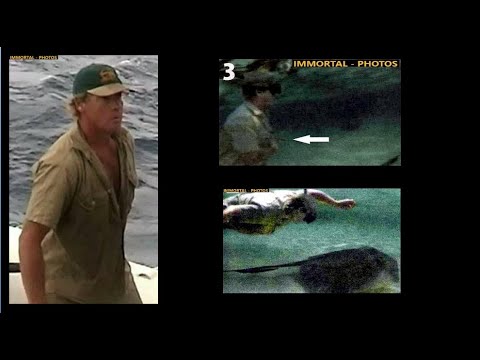 Latest Photos of Steve Irwin ( Final Day Photos )