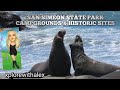 SAN SIMEON STATE PARK, HISTORIC SITES, CAMBRIA BEACHES, CAMPGROUNDS , CA.