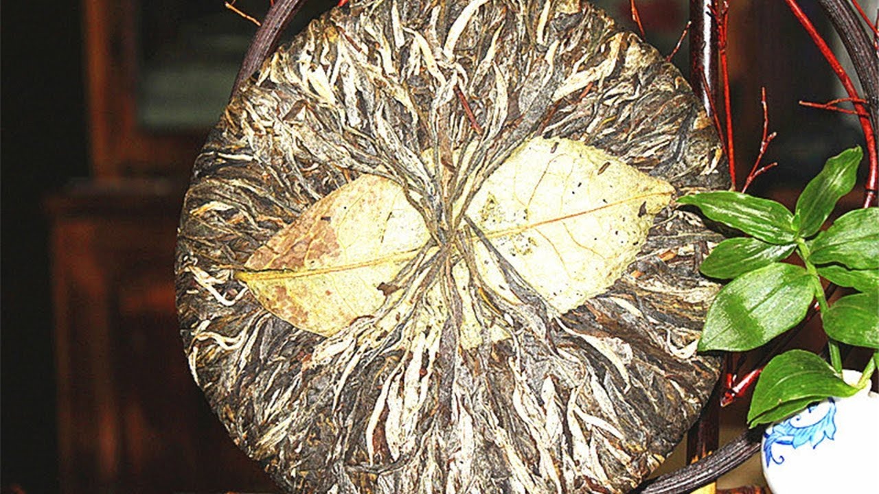 Завариваю 800-летний пуэр с Алиэкспресс