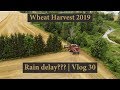 Wheat Harvest 2019 - Rain Delay??? | Vlog 30