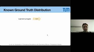 Diffusion Models and Differentiable Simulations