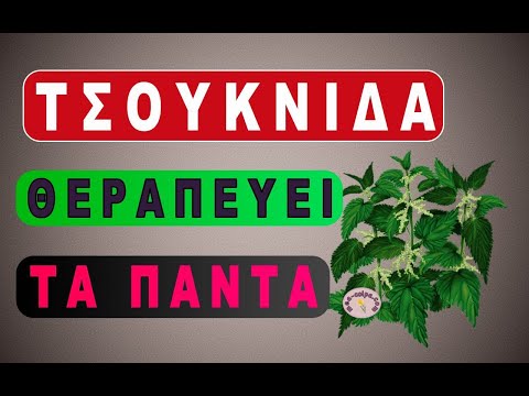 Τσουκνίδα   το βότανο που θεραπεύει τα πάντα