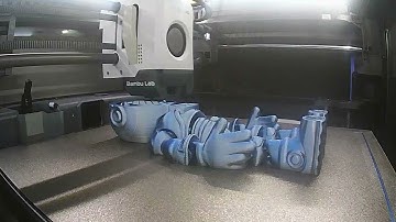 Flexi Astronaut Timelapse.