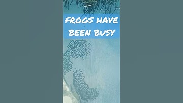 small part if frog spawn in my pond