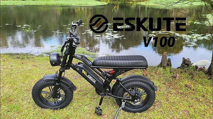 Eskute V100 E-bike  #ebike  @EskuteUS 
