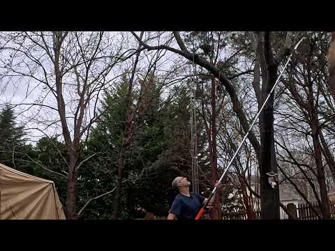 Watch my first branch cut with this 20ft extendable pole saw - LAANPOLE 26FT Pole Saw, Telescoping T