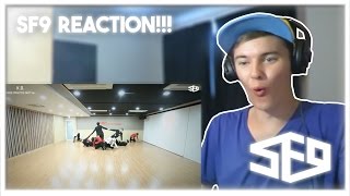 SF9 – K.O. (Dance Practice Video) Reaction!! [I AM NOW A FANTASY!!]