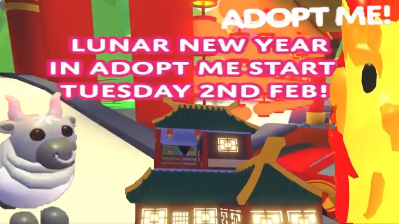 Lunar New Years Update When Pets & House