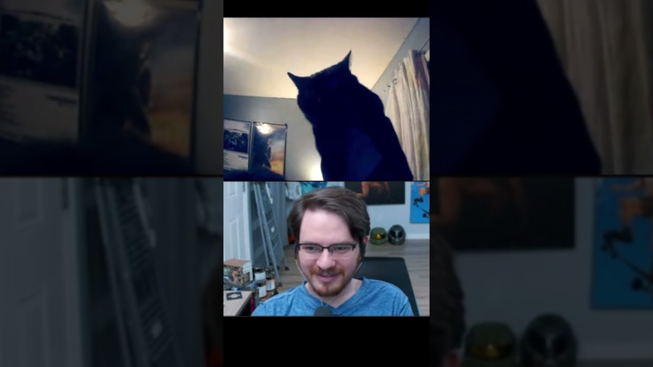 Incyn’s Cat @NeoCranium @Incyn