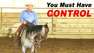 Horse Training For Control  How To Prevent Bucking, Bolting And Violent Spooking