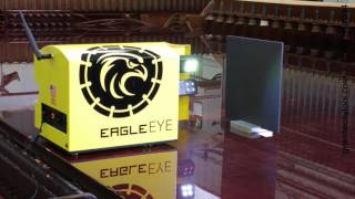 EagleEYE Tool Setter Example