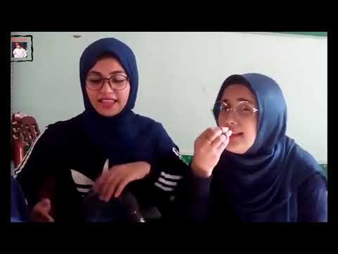 أغنية ولا عمري جتلك أنت اللي جتلي بنت مصرية