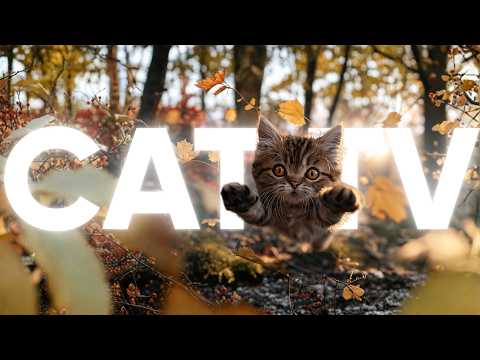 Cat TV 🐦 Underwater Footage, Birds & Relaxing Music for Cats