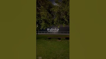 #سورة_المؤمنون | أم لم يعرفوا رسولهم فهم له منكرون ﴾ #ياسر_الدوسري #اقتباس#قرآن