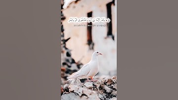 #تلاوة_خاشعة ۞ وَلَقَدْ كَرَّمْنَا بَنِي آدَمَ وَحَمَلْنَاهُمْ فِي الْبَرِّ وَالْبَحْر#قرآن #لايك