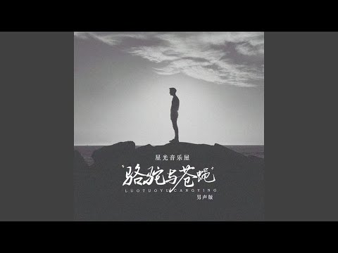 骆驼与苍蝇 (男声版)
