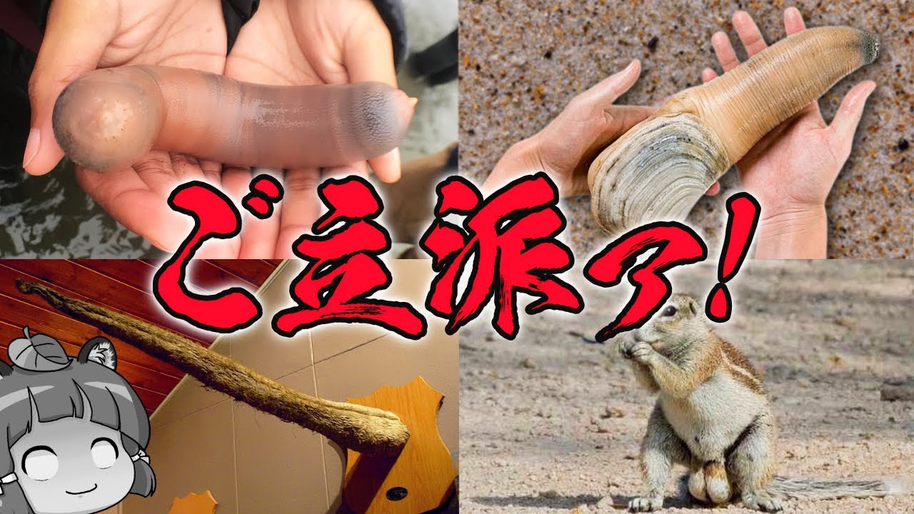 【珍生物】見た目がご立派過ぎる生き物10選