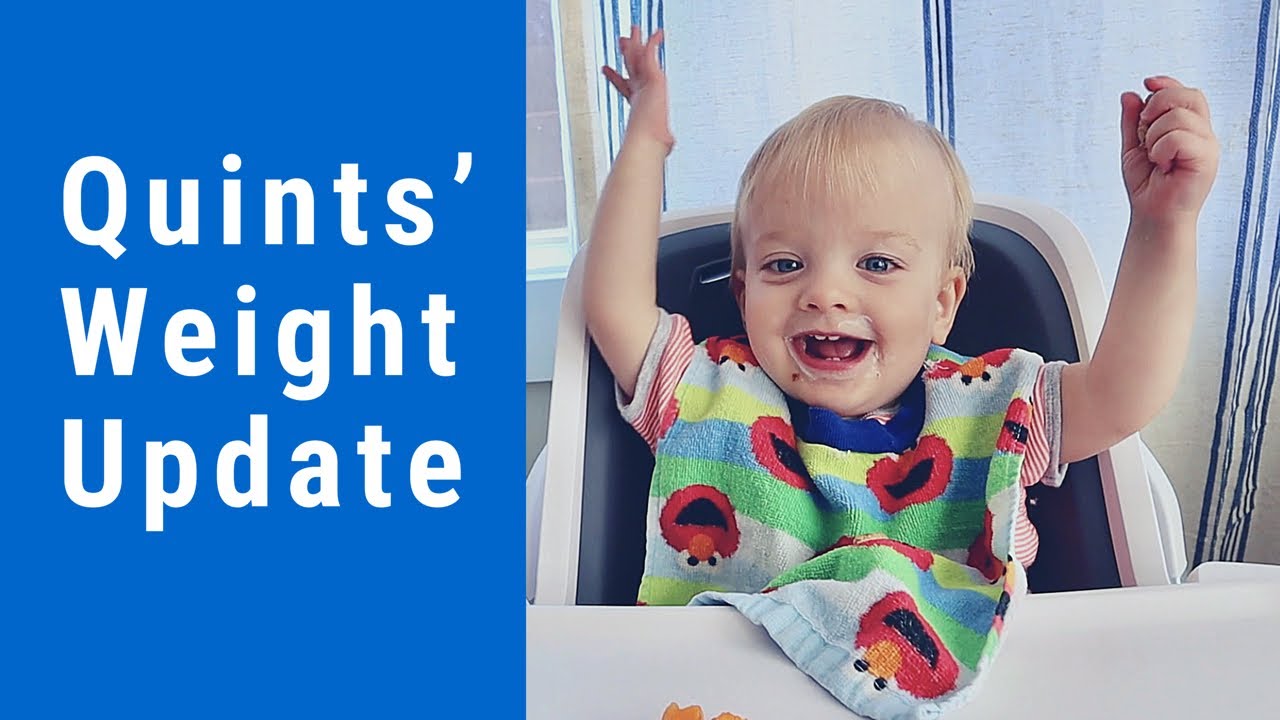 Surprising Baby Weights Toddler Time Playhouse Shopping For Quints