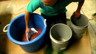 Backyard small batch wine making.