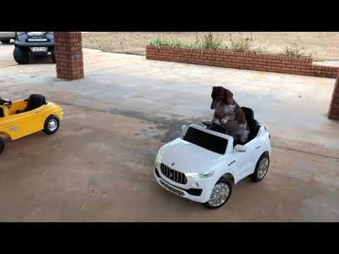 Maserati Video