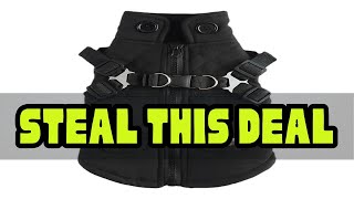 Dog Coat With Harness Waterproof Jackets With Harness And D Rings Zipper Dog Jacket Puppy Coat Smal