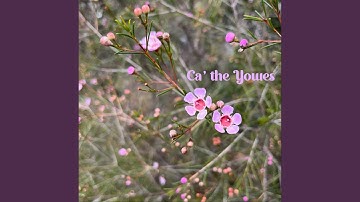 Ca' the Yowes